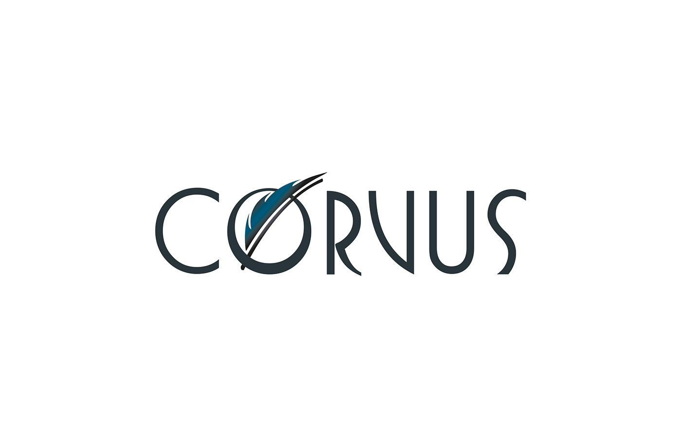 Packaging brand identity corvus Logo Design product design  vine visual identity Website