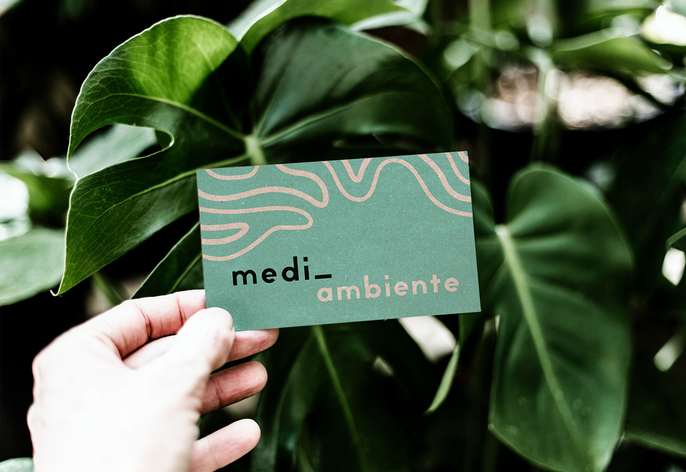 brand branding  bussiness card graphic design  identity logo environment