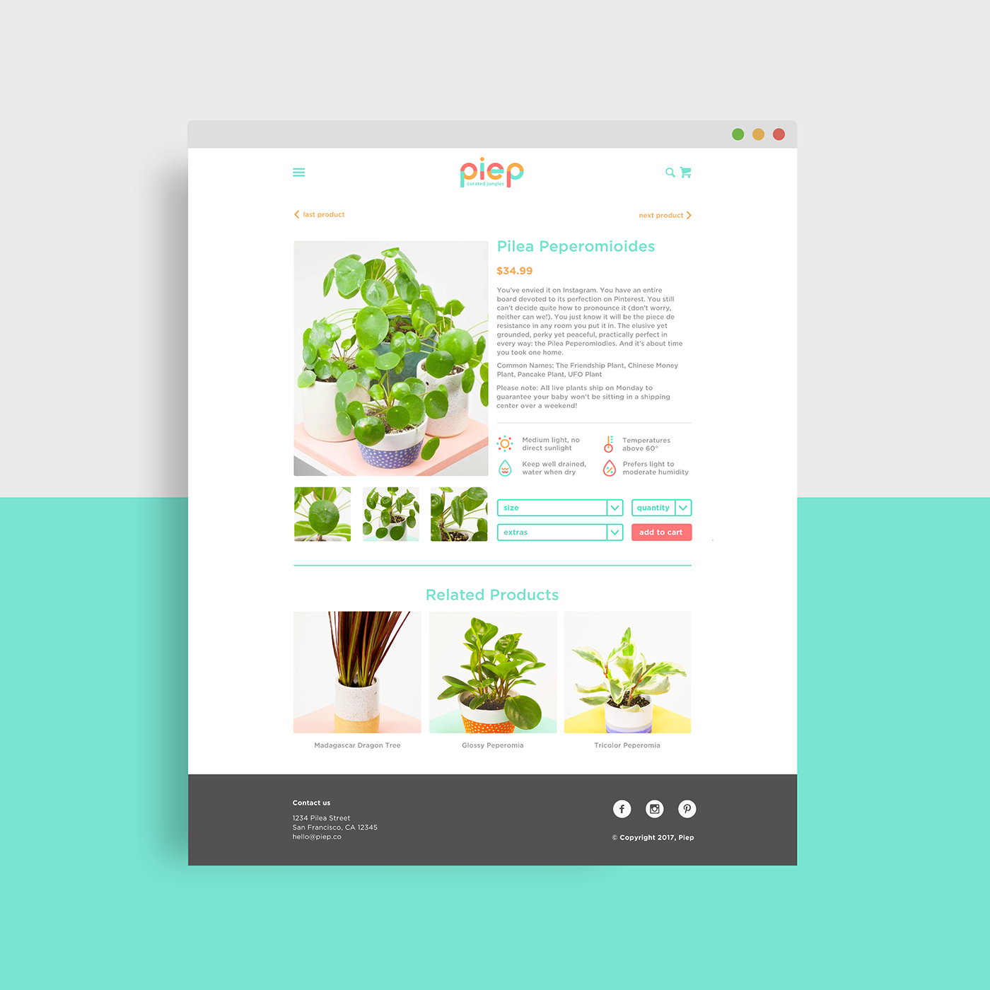 branding  Web Design  Website uxui user interface Packaging plants Identity Design brand identity pattern