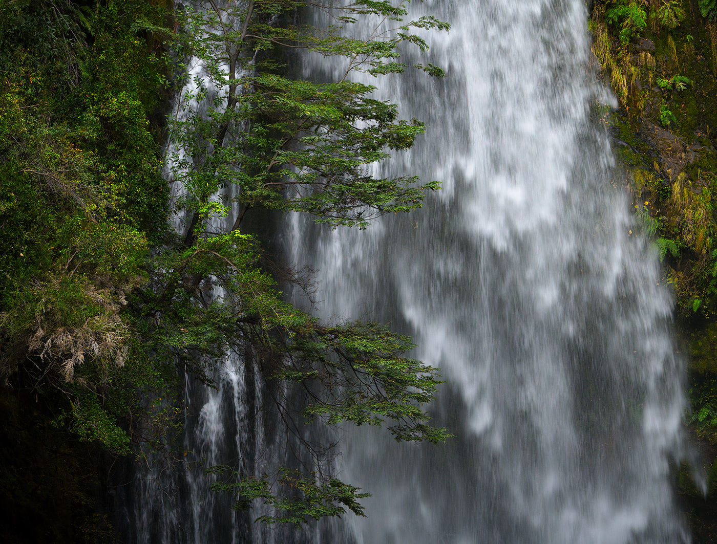 Nature Landscape mountains waterfall river forest woods green Outdoor Photography 