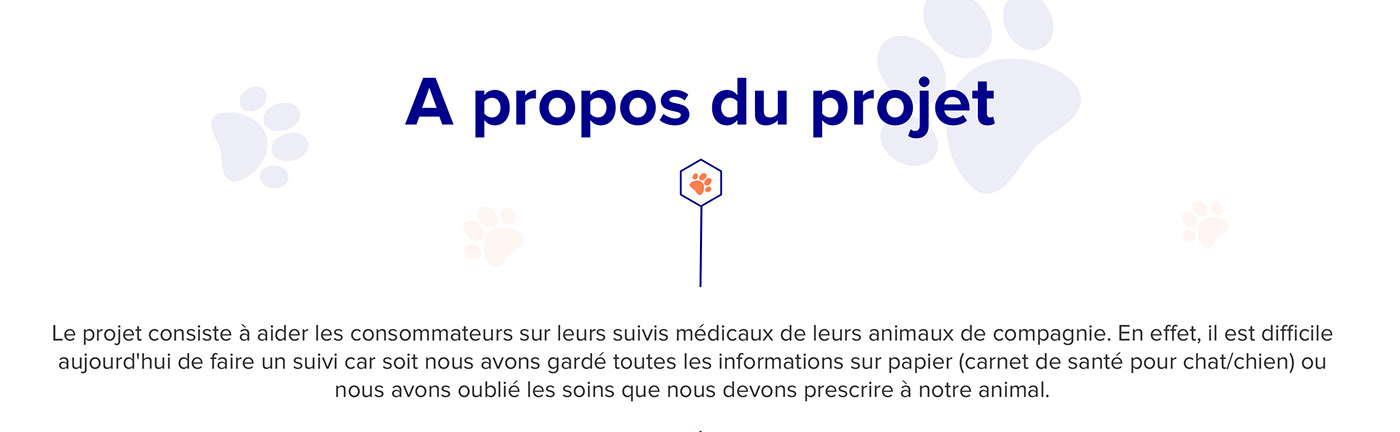 pets Health help app care vets animation  interaction prototype UI
