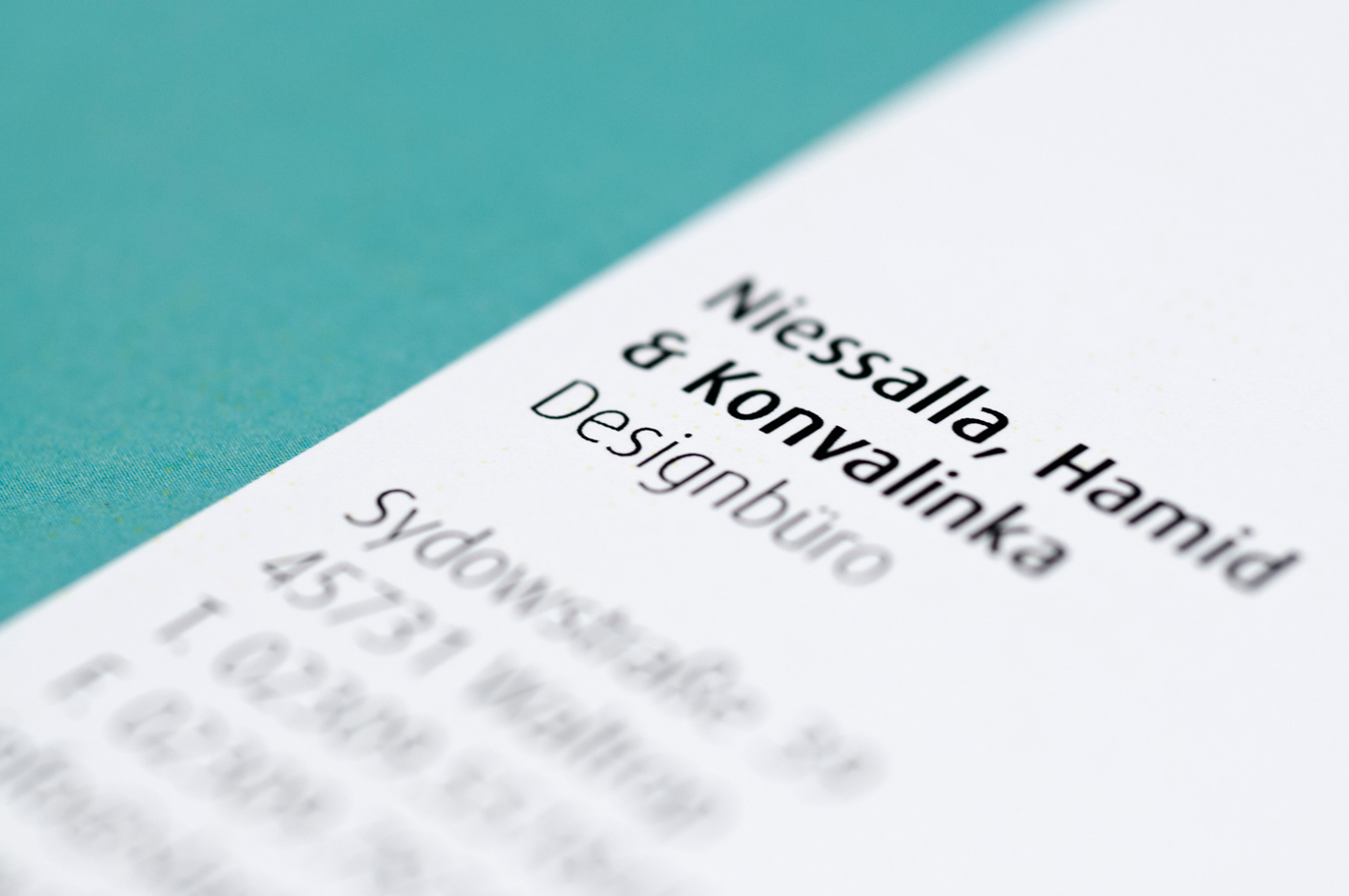 Advertising  design graphic design  identity Photography  typography  