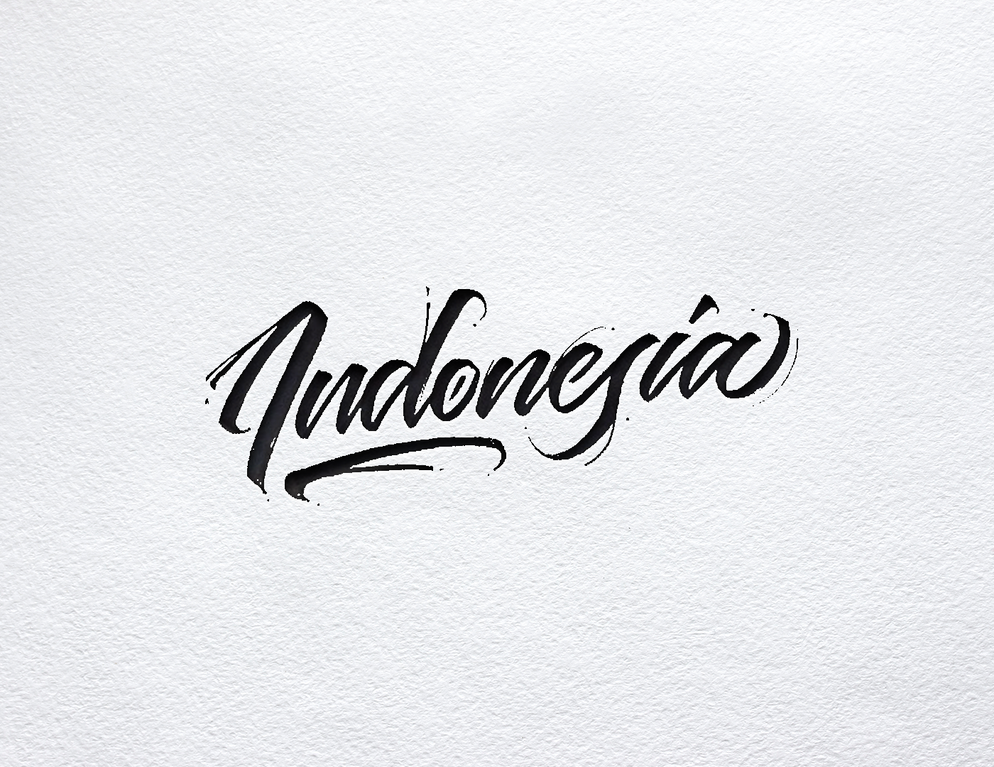 lettering type typography   Calligraphy   Handlettering