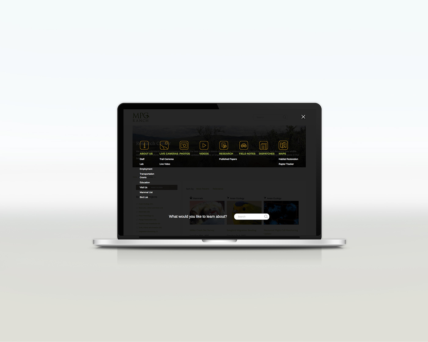 UI ux Web Webdesign interactive design graphicdesign mobiledesign product Web