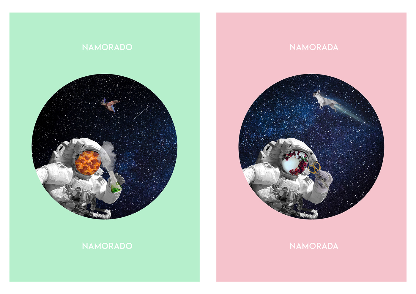 Turtle Pizza astronaut cosmos SKY impossible pastel collage Fun biology