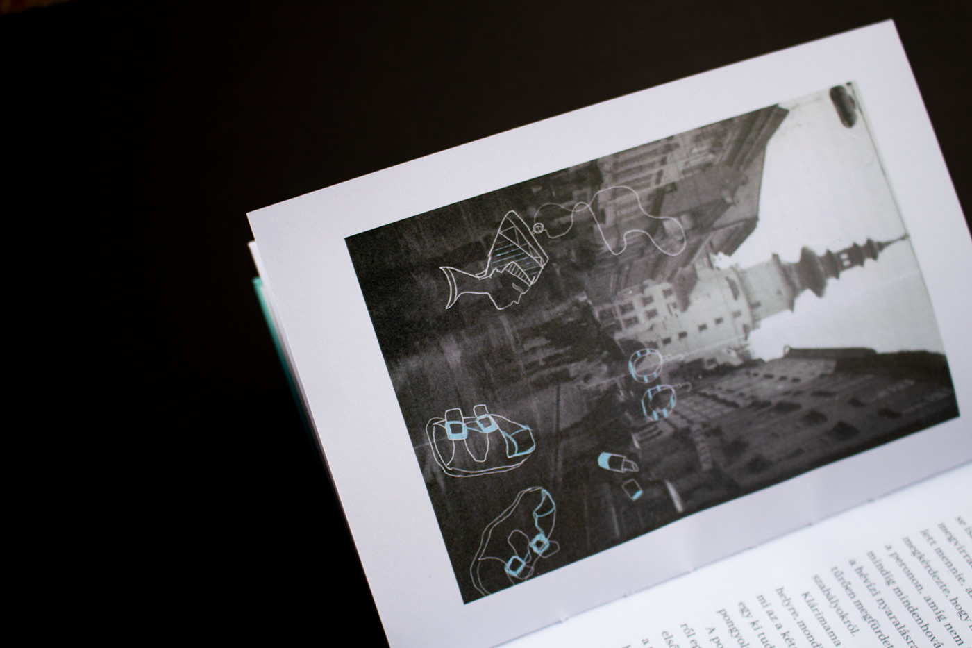 Behance book bookcover design designer fish graphicdesign ILLUSTRATION  oldphotos redesign