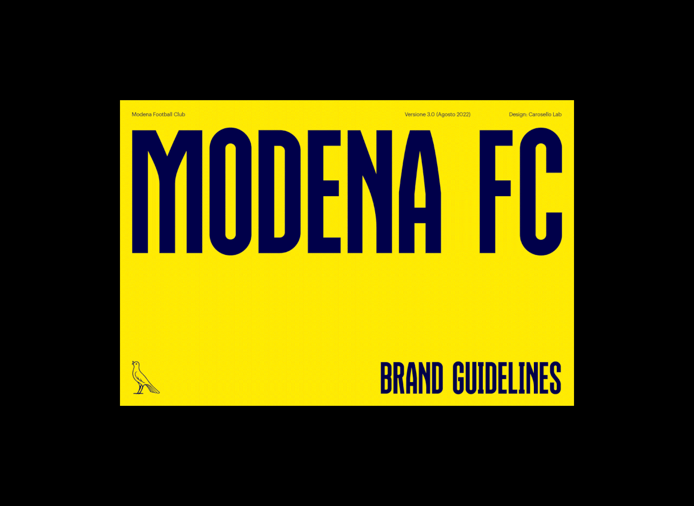 branding  football graphic design  Logo Design Photography  sports typography   visual identity Web Design  type