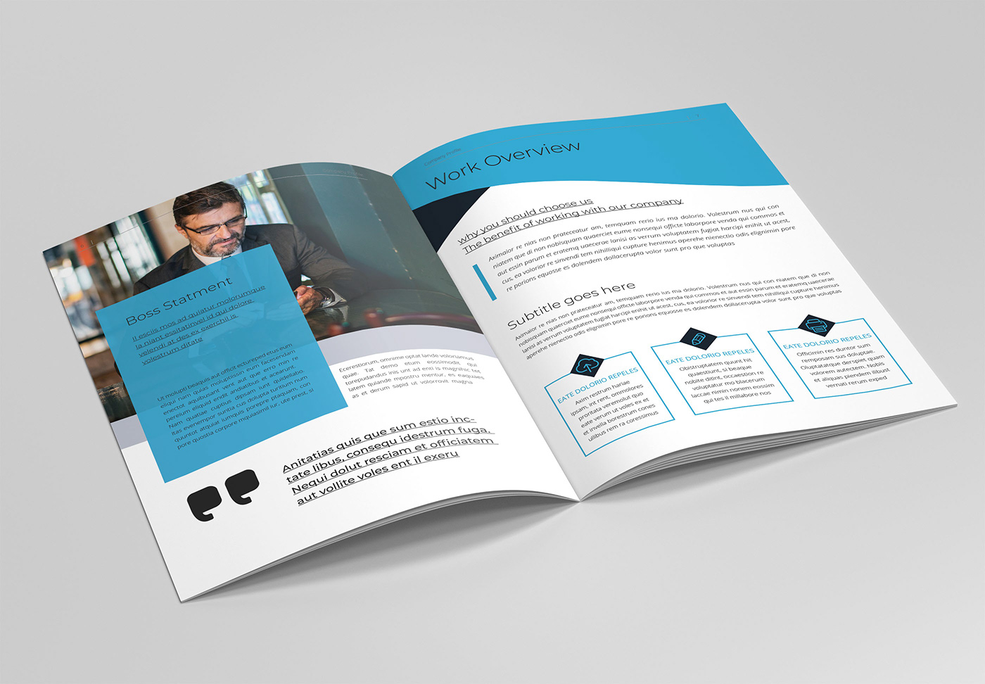 brochure copany profile Brochure Template annual report Company Brochure corporate magazine minimal indesign template