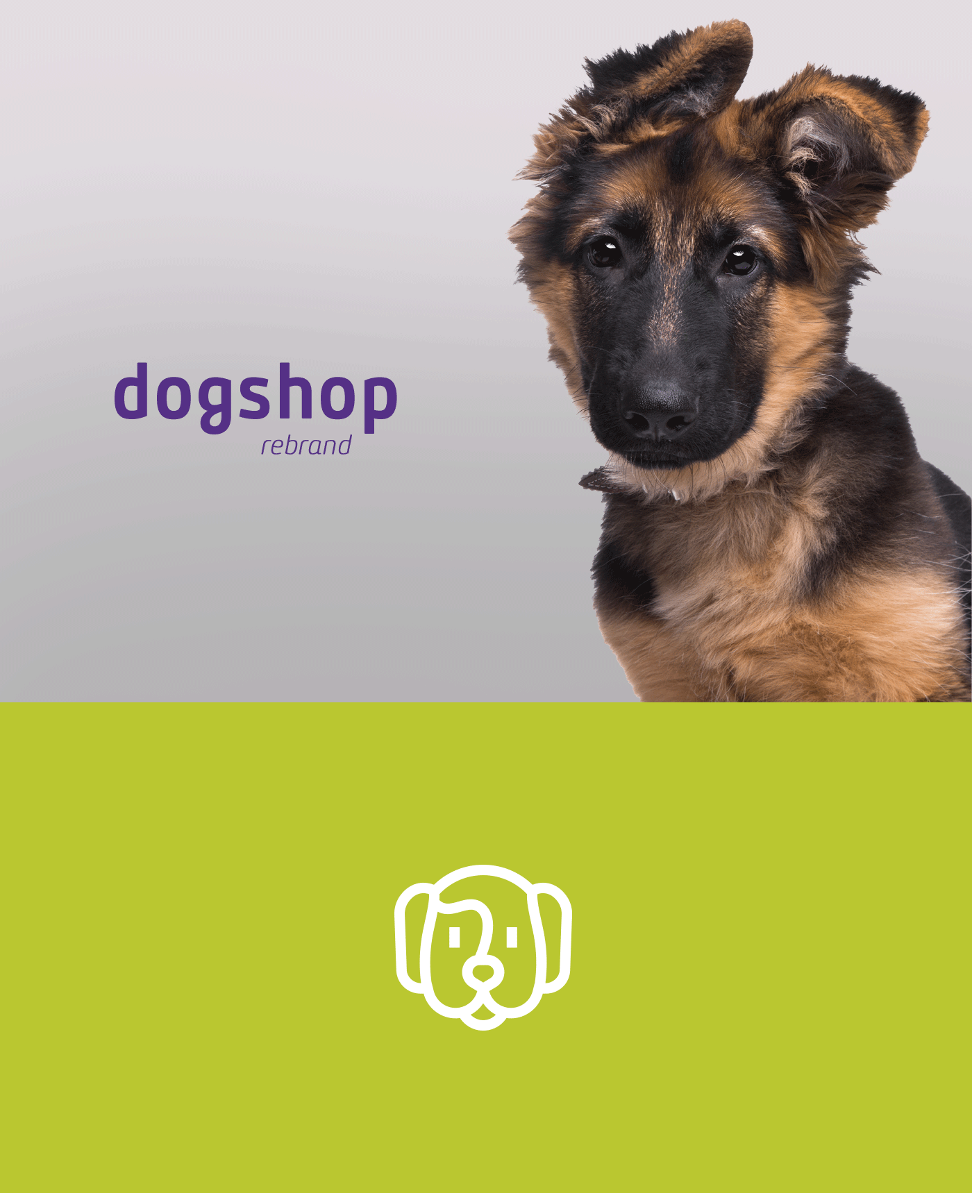 branding  dog Pet petshop shop