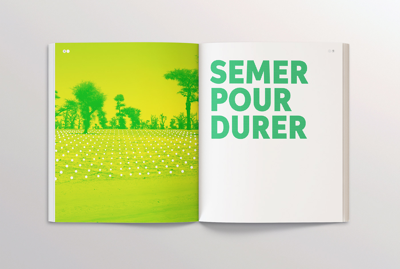 rapport annuel point design graphique dot design Communautaire Typographie suco edition