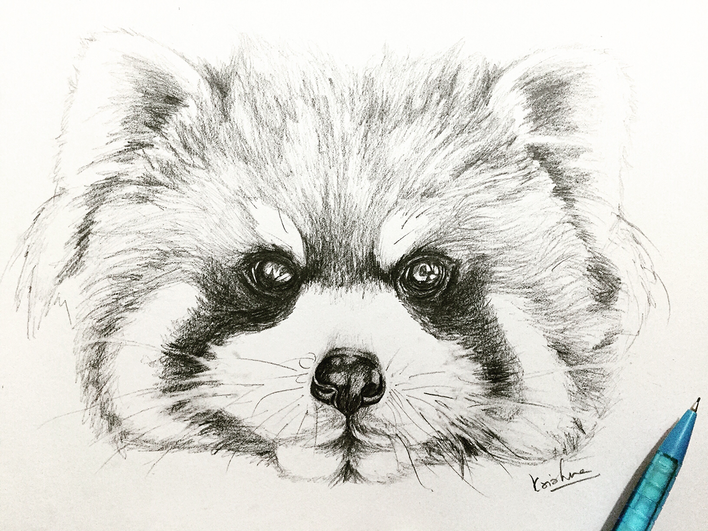 pencil sketch animal faces