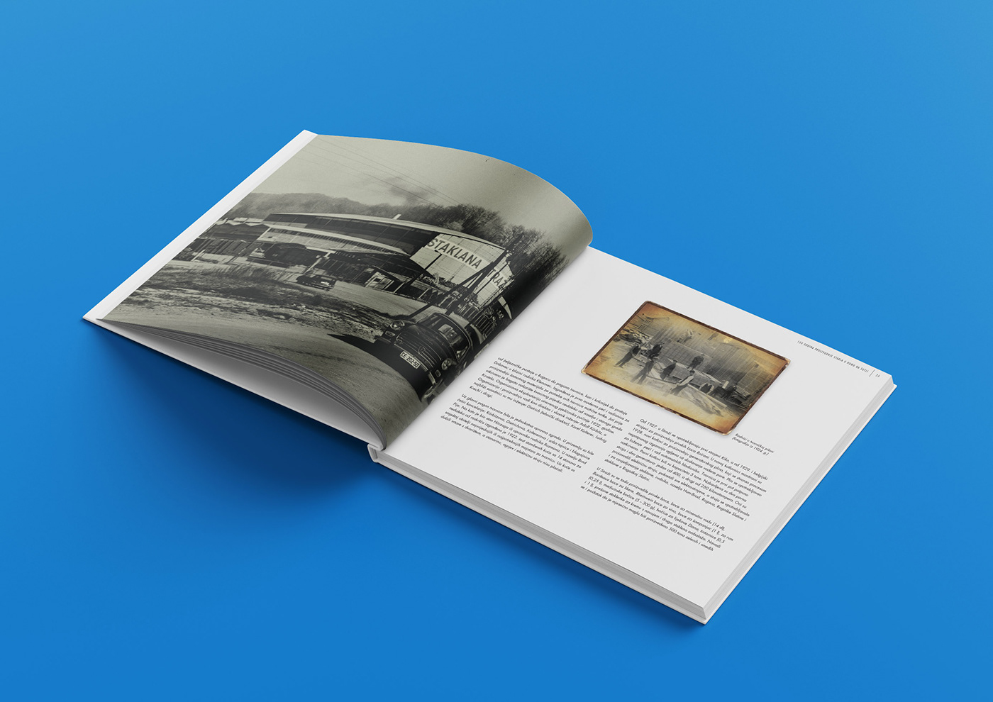 book cover book design design Layout Design marketing   monography