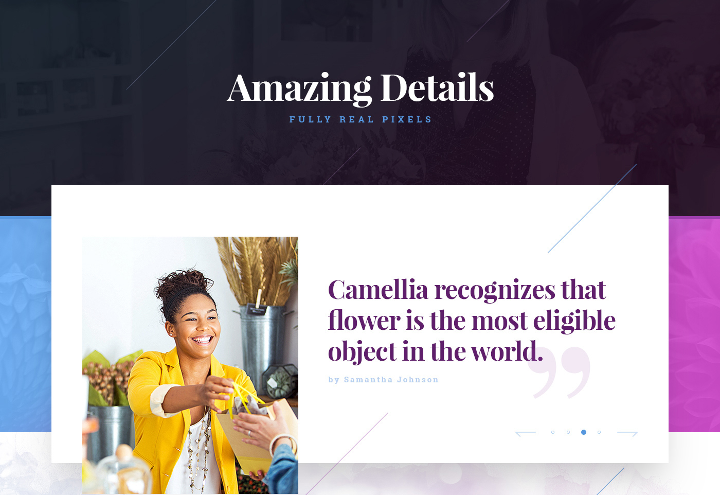 flower shop drawingart Website UI ux design Webdesign creative wedding
