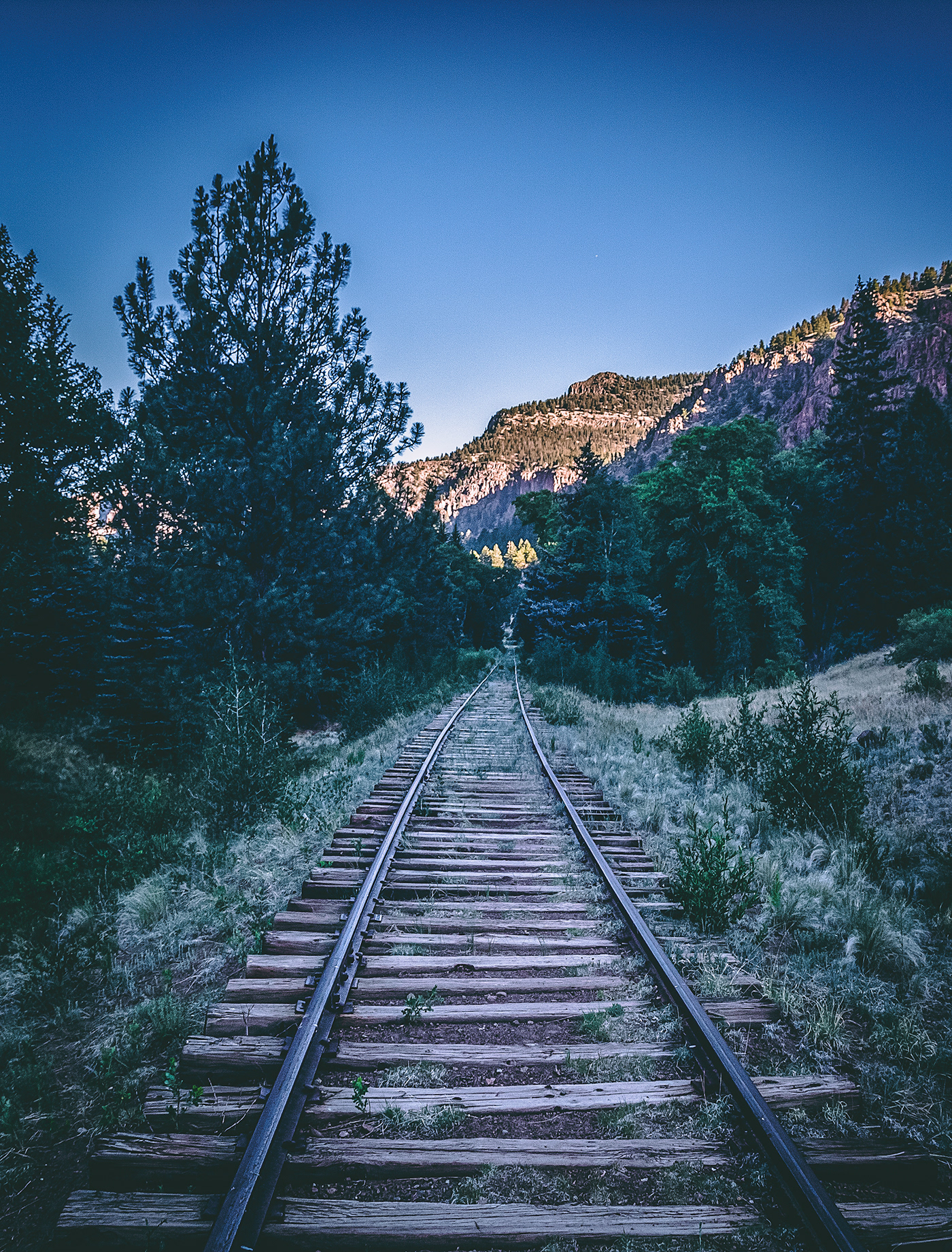 railroad Nature Photography  Landscape