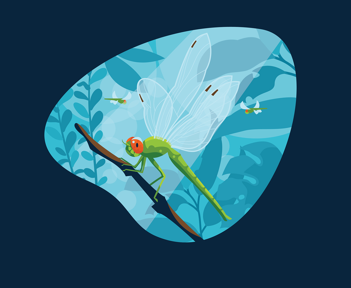 ILLUSTRATION  vector rainforest frog snail dragonfly flat forest motion motiongraphic