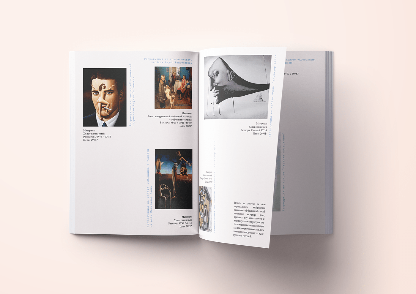 beauty book Catalogue design InDesign Photography 
