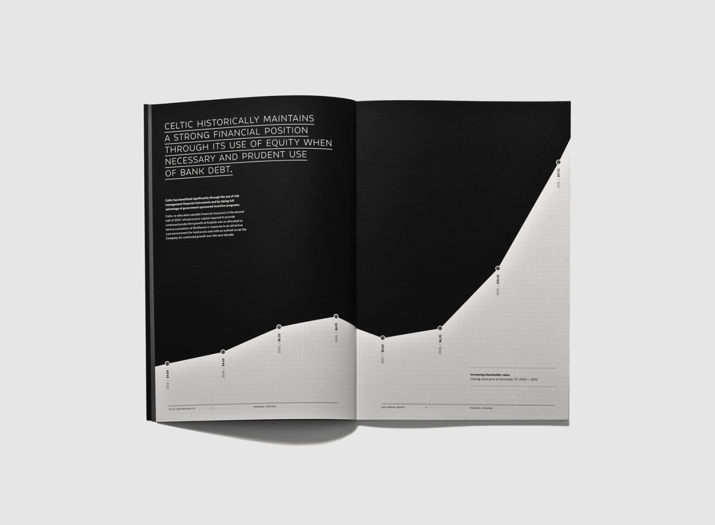 annual report Minimalism grayscale Celtic