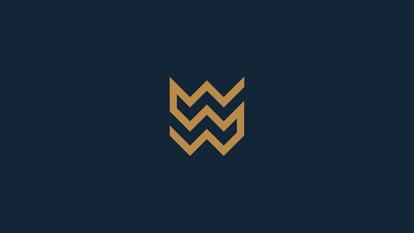 aleksandar branding  design finance logo