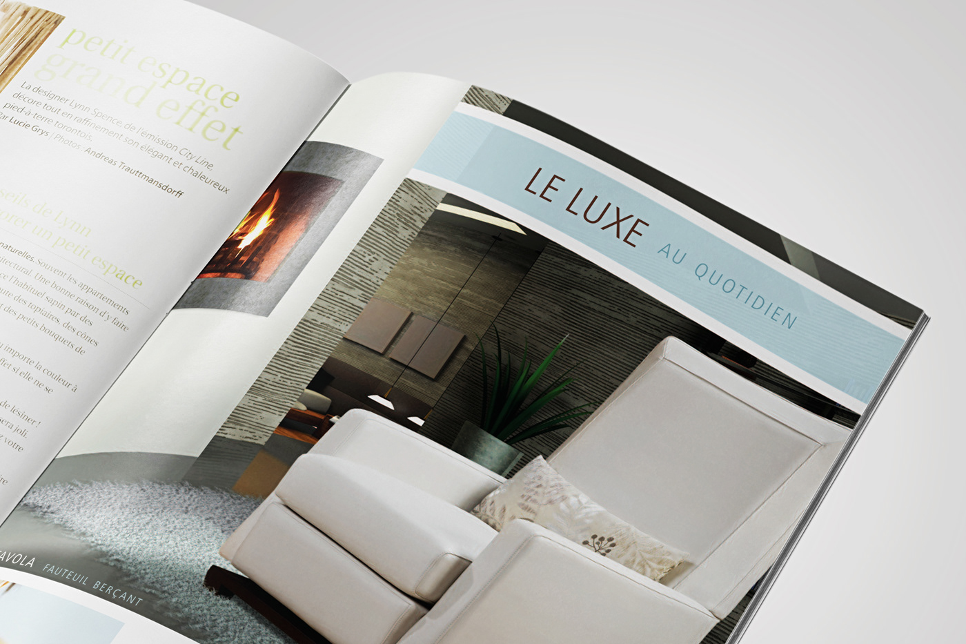 Website design furniture ad ads Advertising  magazine
