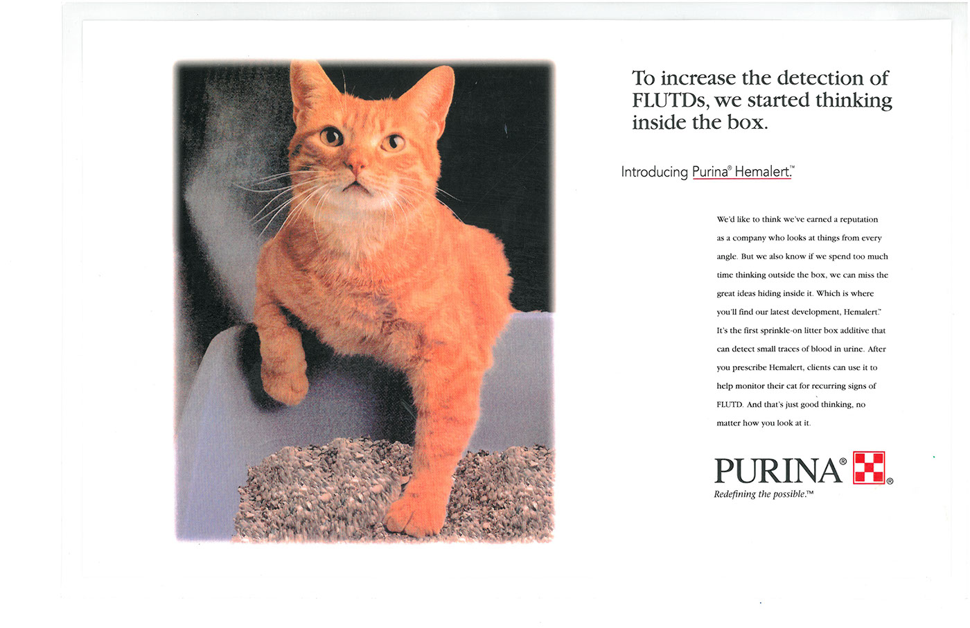 Content Marketing chipotle Purina penn science diet Veterinary Pet Insurance concept development