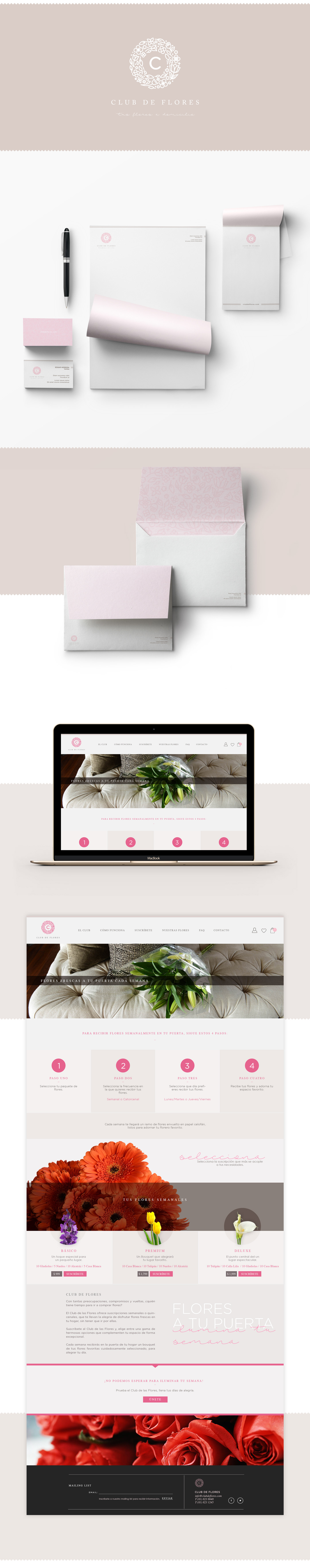 Stationery Flowers branding  diseño gráfico Identidad Corporativa desarrollo de marca Diseño web sitio web tienda online tienda en linea