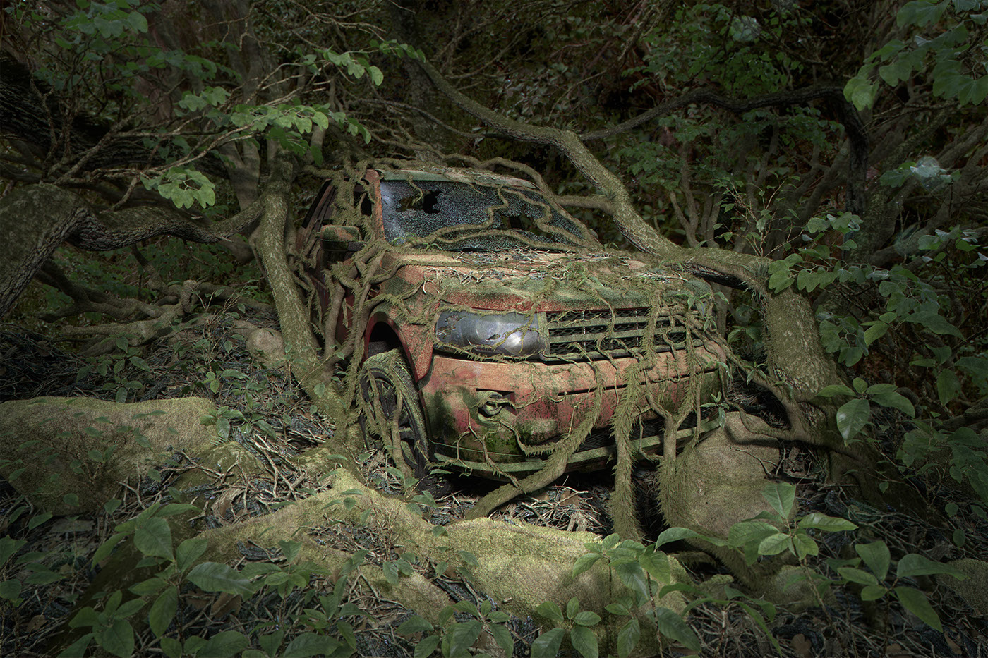 abandoned Cars forest jungle leaves old plants roots trees 3D modo PS branches gelmi