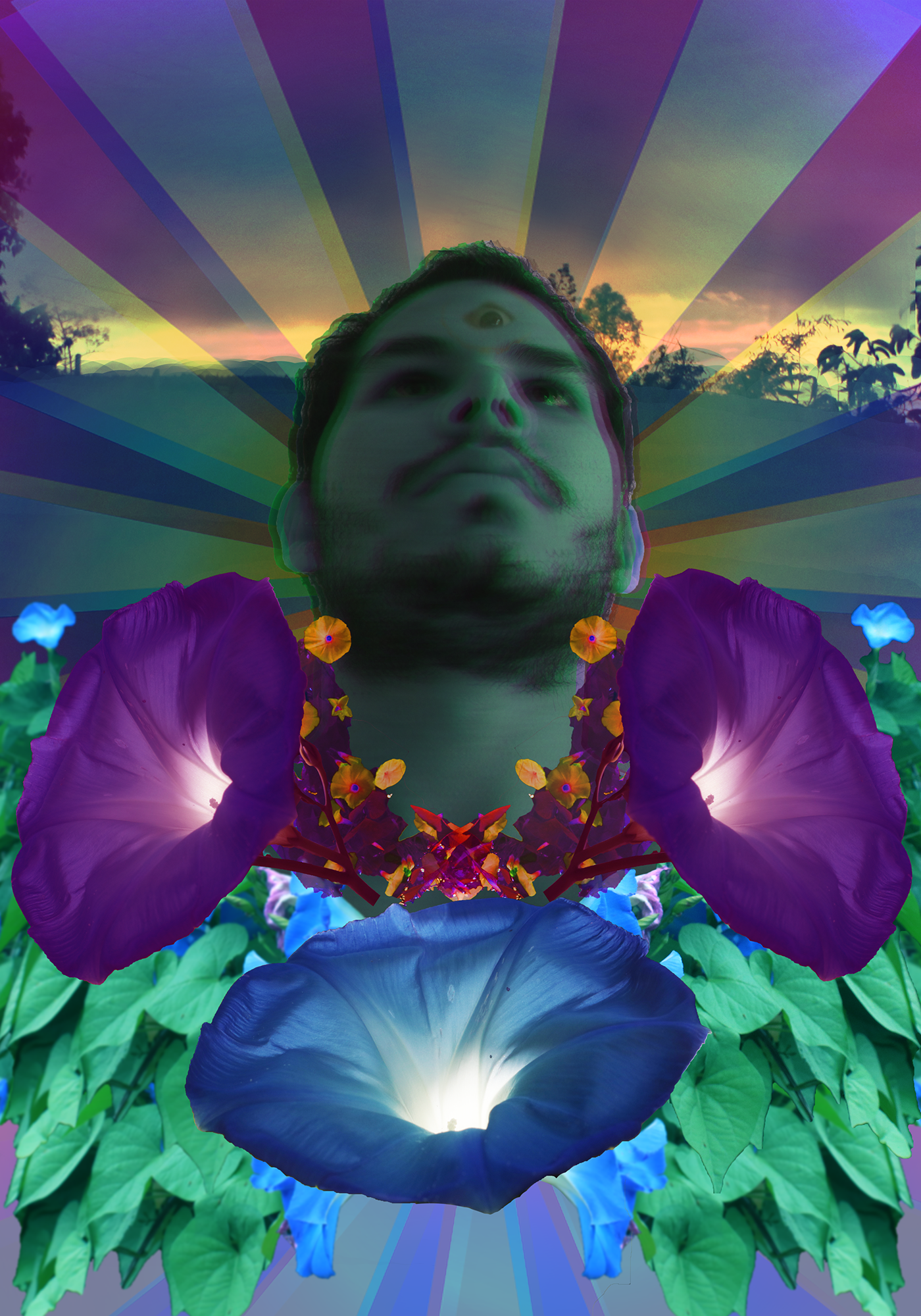 shamanic medicine drug warondrugs conciousness psychedelic collage art Psyconaut