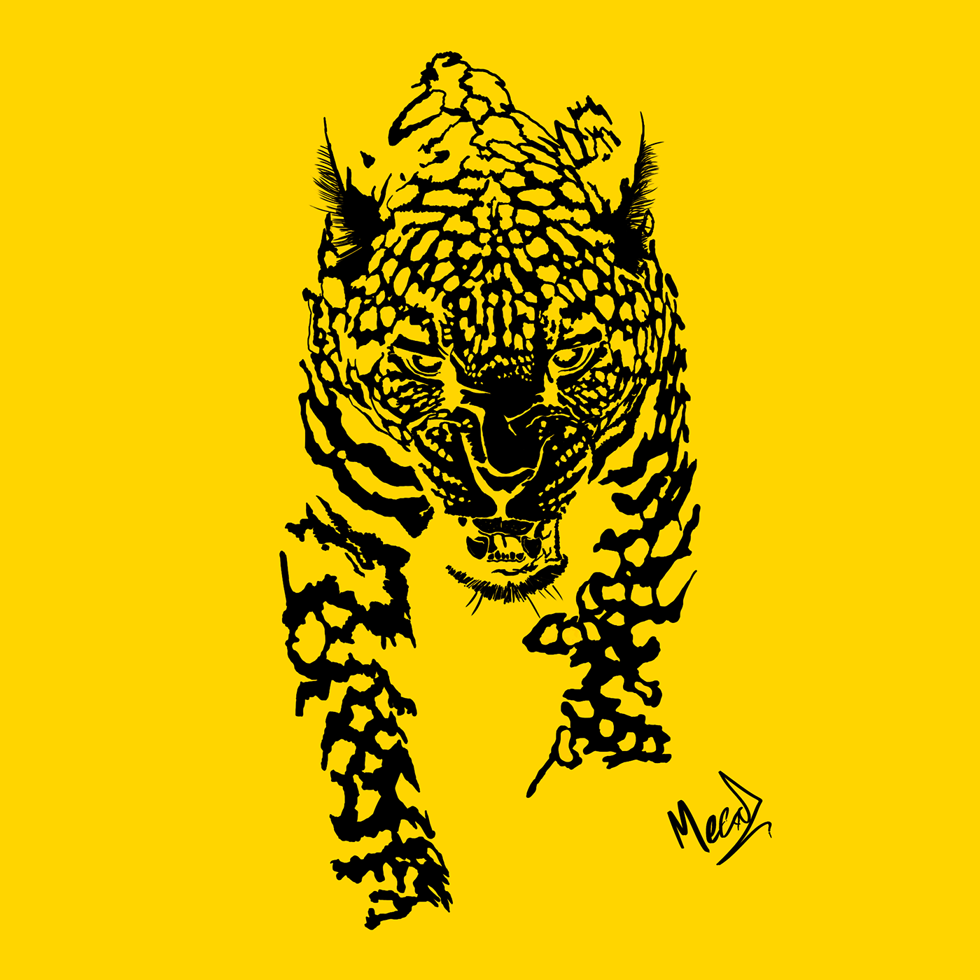 Animals & Wildlife Brazil Brazilian jaguar natureza onça onça pintada pantanal vida selvagem