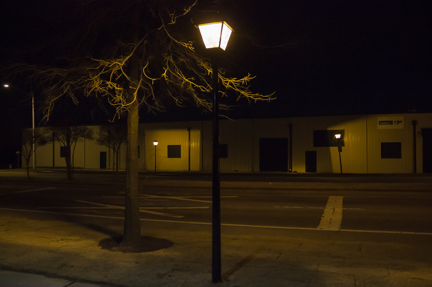 night lamppost guardians eyes light dark suburbia personification