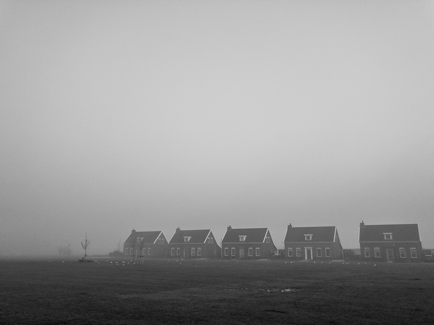 beach fog Netherlands Noord-Beveland bw
