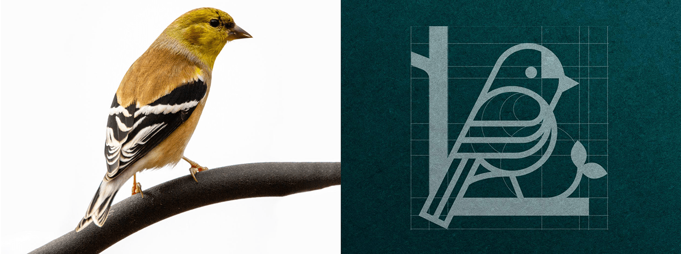 bird bird logo brand strategy branding  geometric pattern goldfinch healthcare Logo Design recruitment recruitment logo