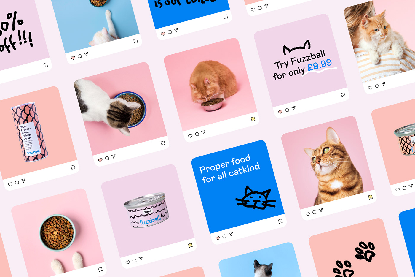 Cat colorful Ecommerce fuzzball hand drawn handwritten Shopify subscription UI/UX Website
