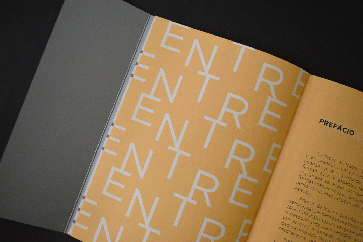 book book design editorial editorial design  Layout Layout Design print publication