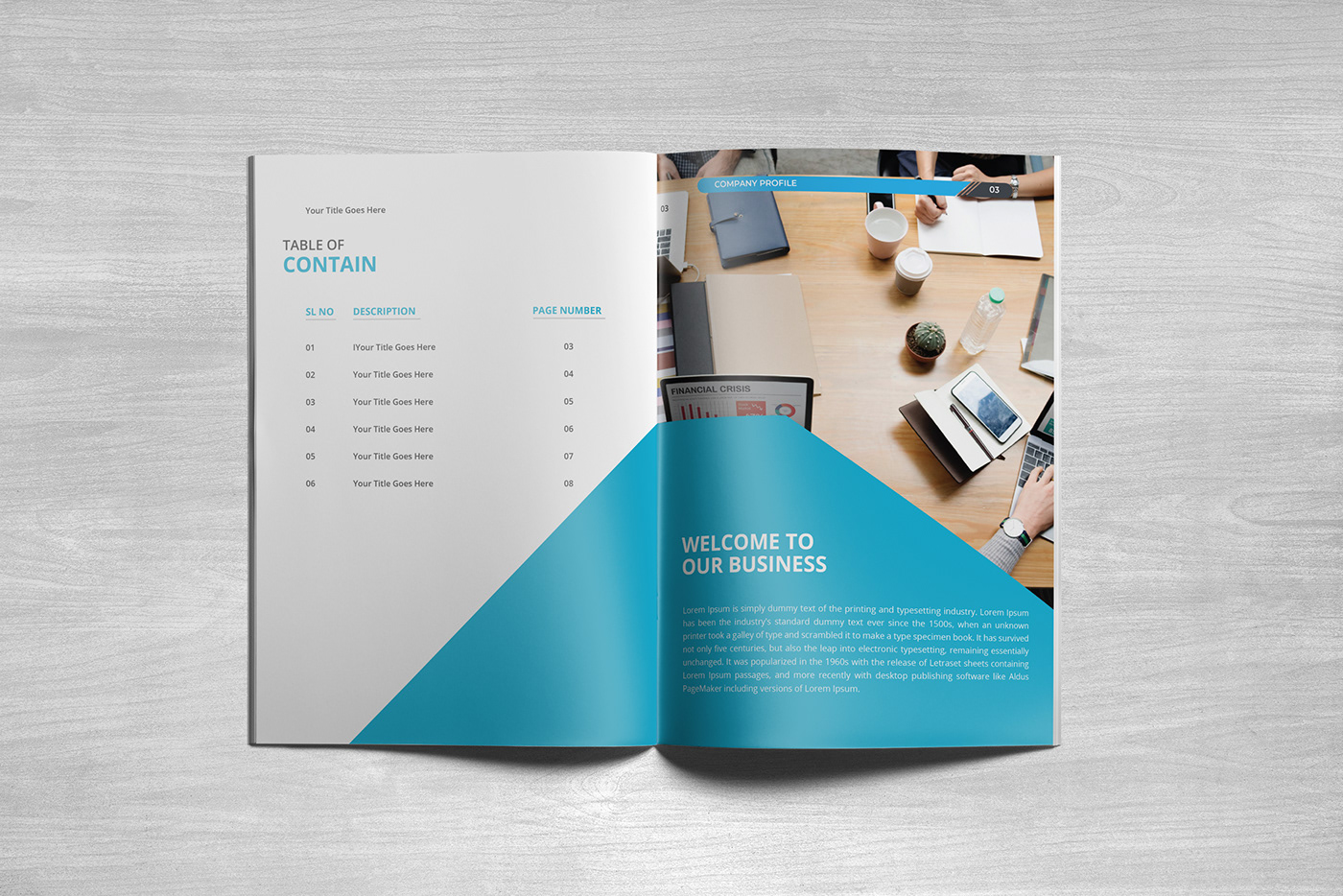 company profile business profile brochure business brochure business Company Brochure business brochure design Company profile design brochure design Business Design