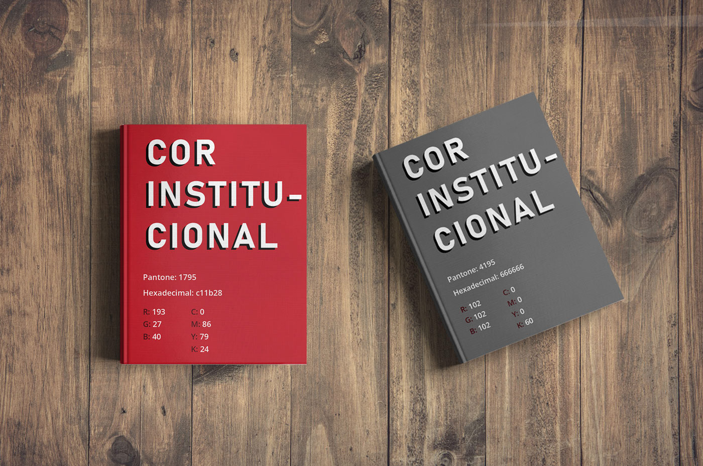 book Bookstore brandbook design gráfico graphic design  identidade visual Logotipo manual Manual de Marca marca
