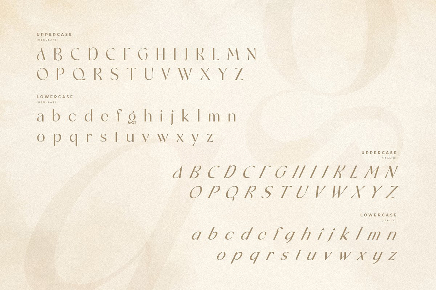 branding font classy serif display font elegant font Fashion font logo font modern font retro font Typeface