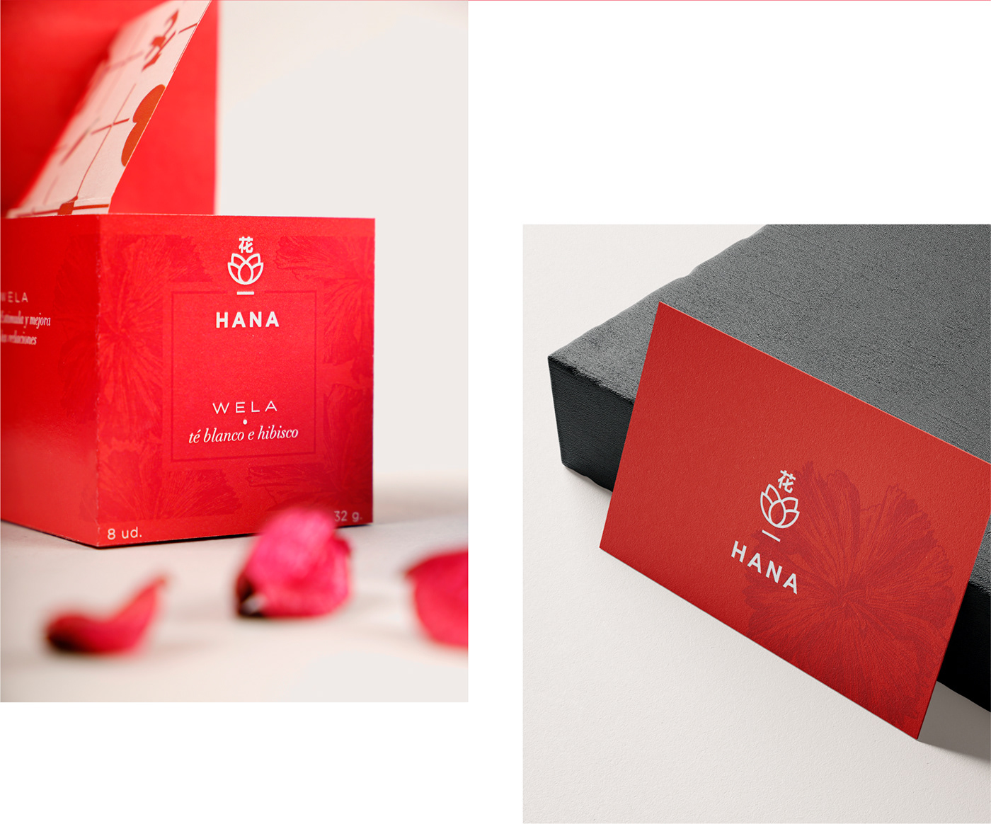 branding  concept graphic design  logo Logo Design marcas Packaging tea company visual identity
