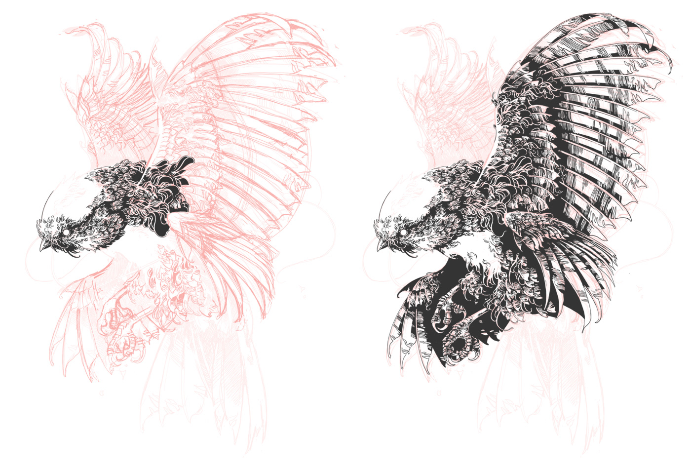 Parus Ivan Belikov impericon festivals Basilisk Bestiary creatures beasts feathers Procreate