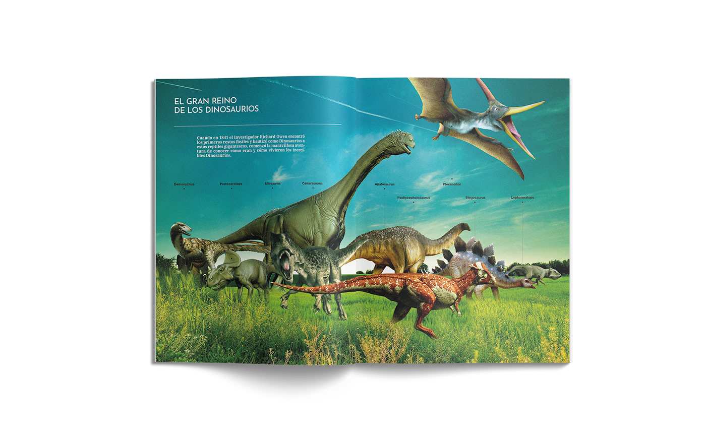 book content creation Dinosaurios dinosaurs editorial Education InDesign magazine paraguay plants