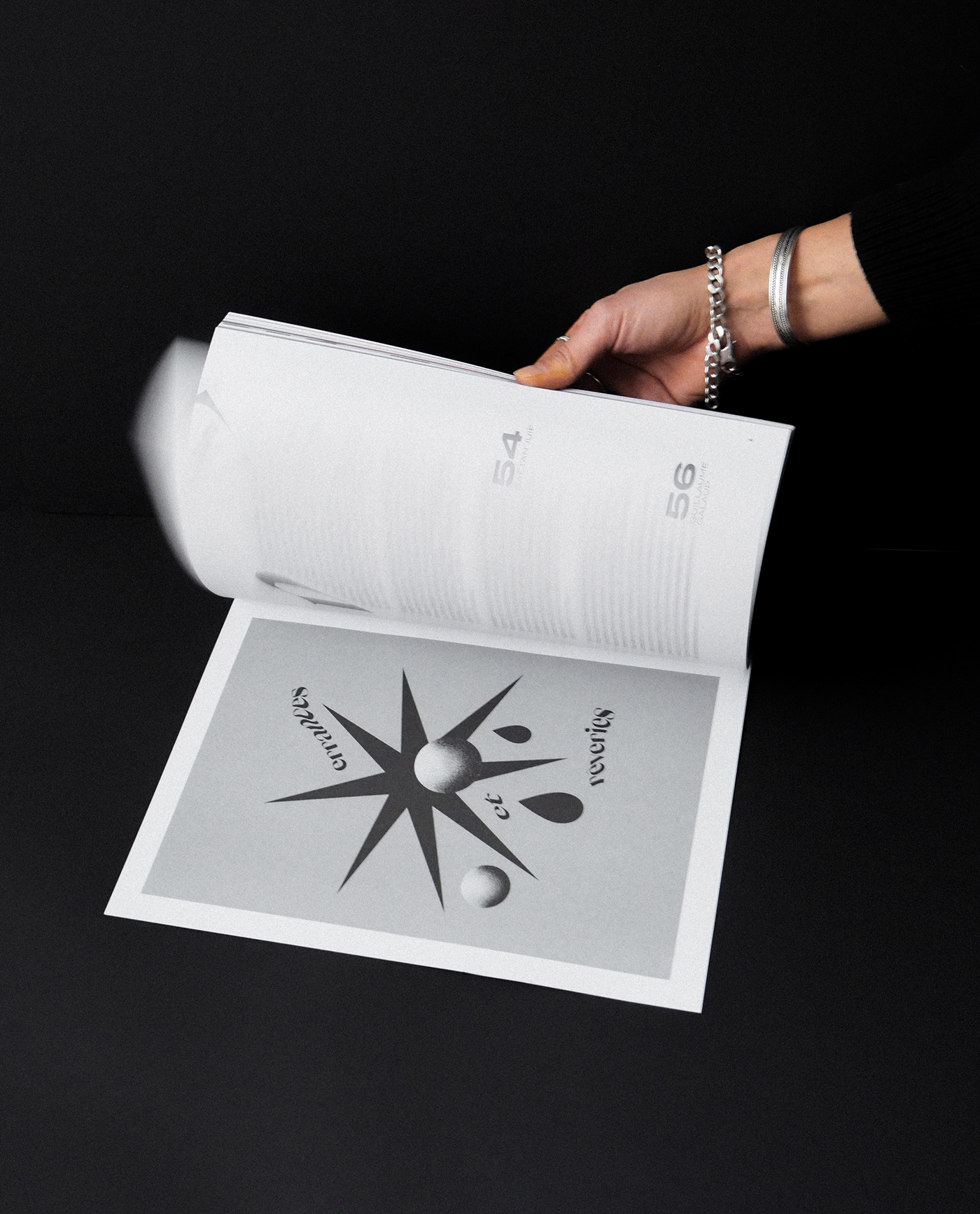 art edition graphic design  graphisme magazine print publication publising revue revue artistique