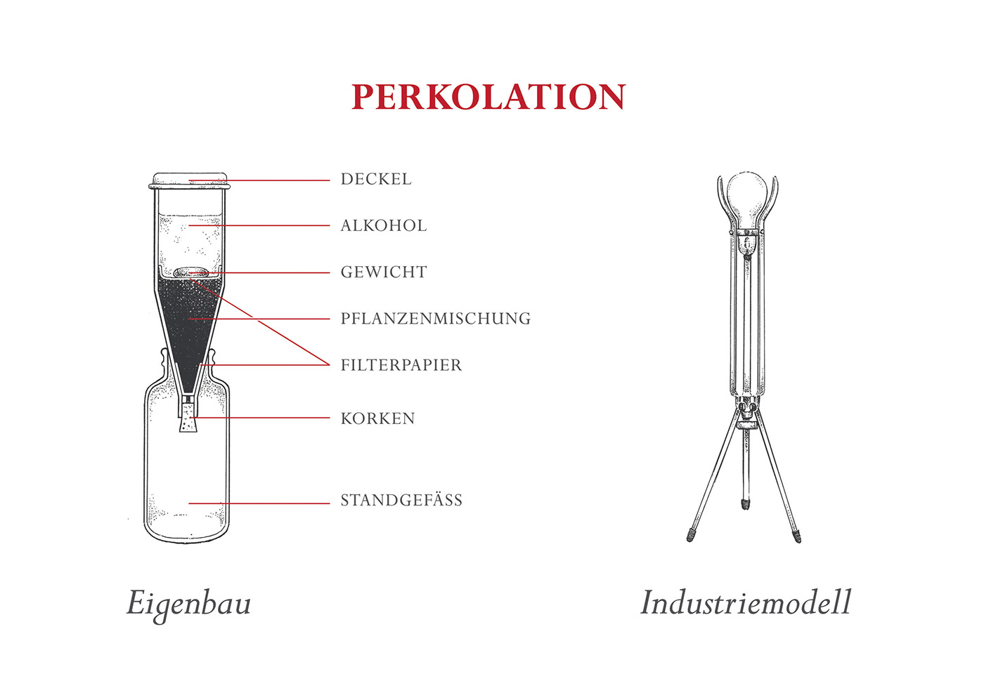 instruction instructions diagram information graphics ILLUSTRATION  Packaging how to gin infusion Production