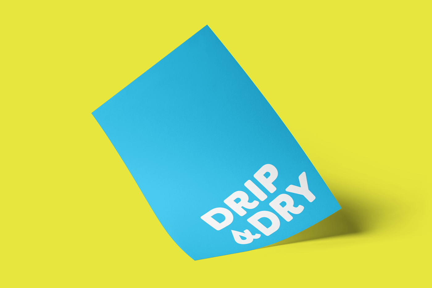 design designer graphic design  student corporateid branding  laundry Packaging UI app