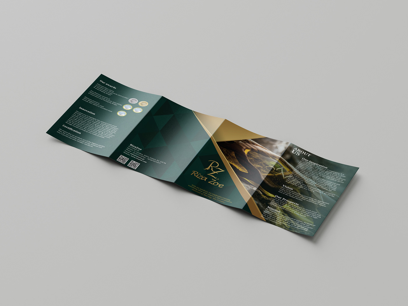 Advertising  brand identity branding  brochure brochure design flyer marketing   print Quadfold visual