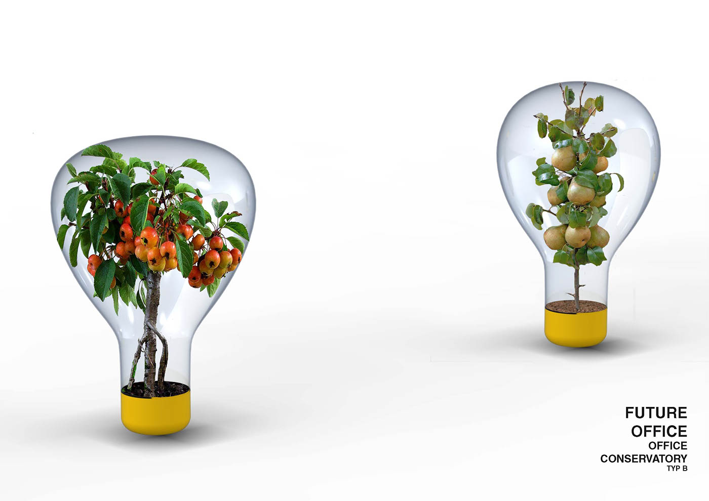 productdesign future Office fast growing plants