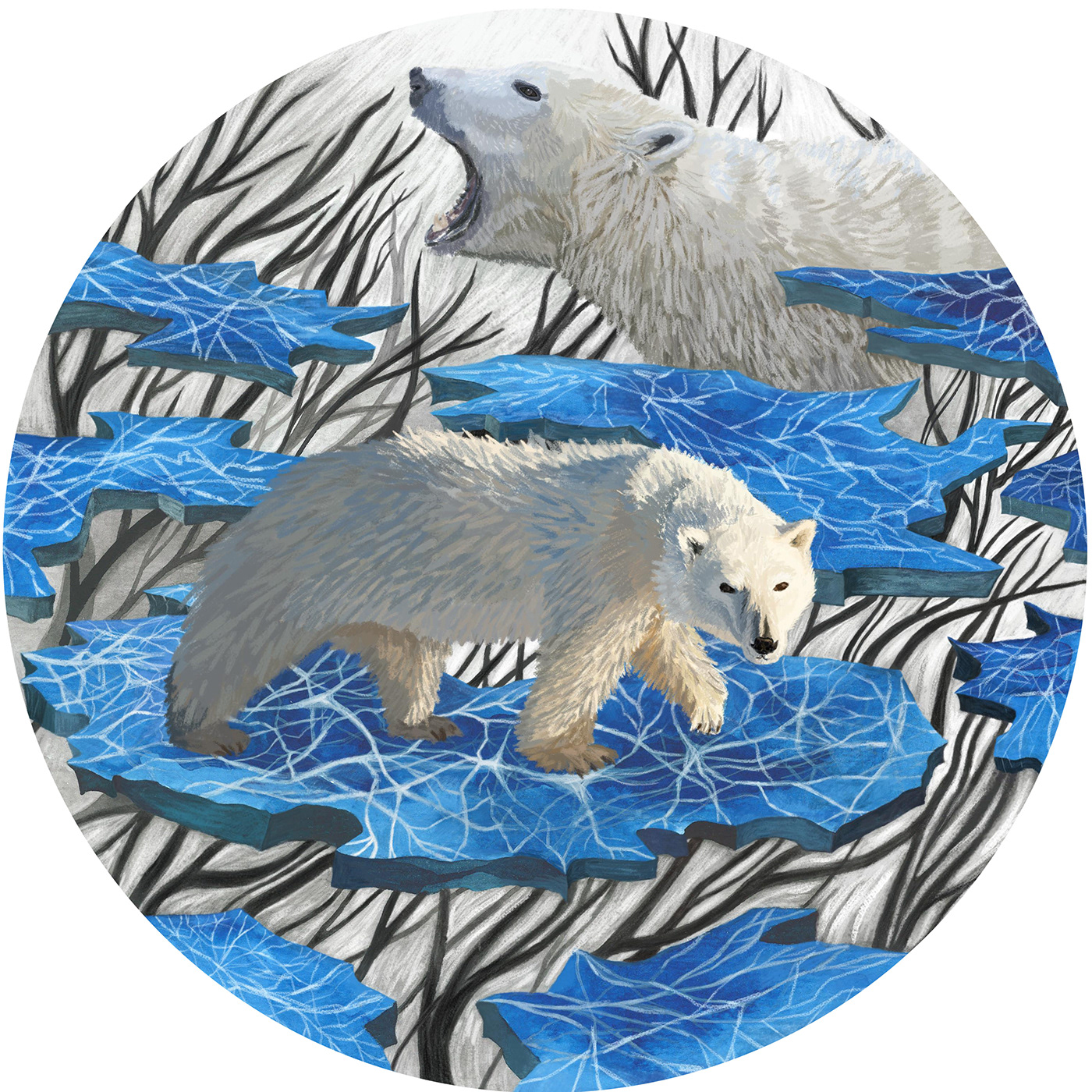 animal illustration animalillustrations Arctic ice Polar Bear