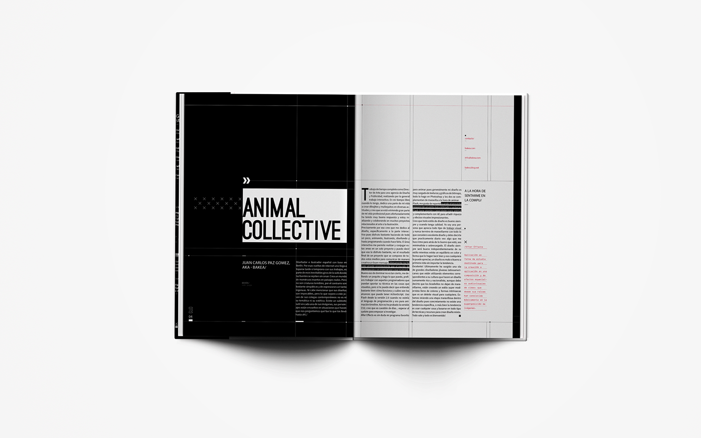 diseño gráfico tipografia editorial typography   magazine revista graphic design  uba