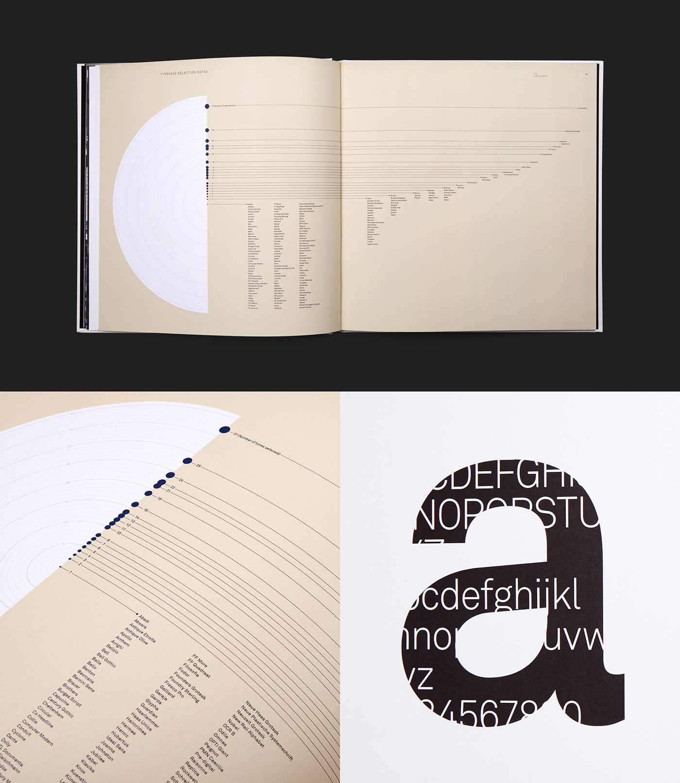 infographic book Type capsule information graphic Typeface typography  