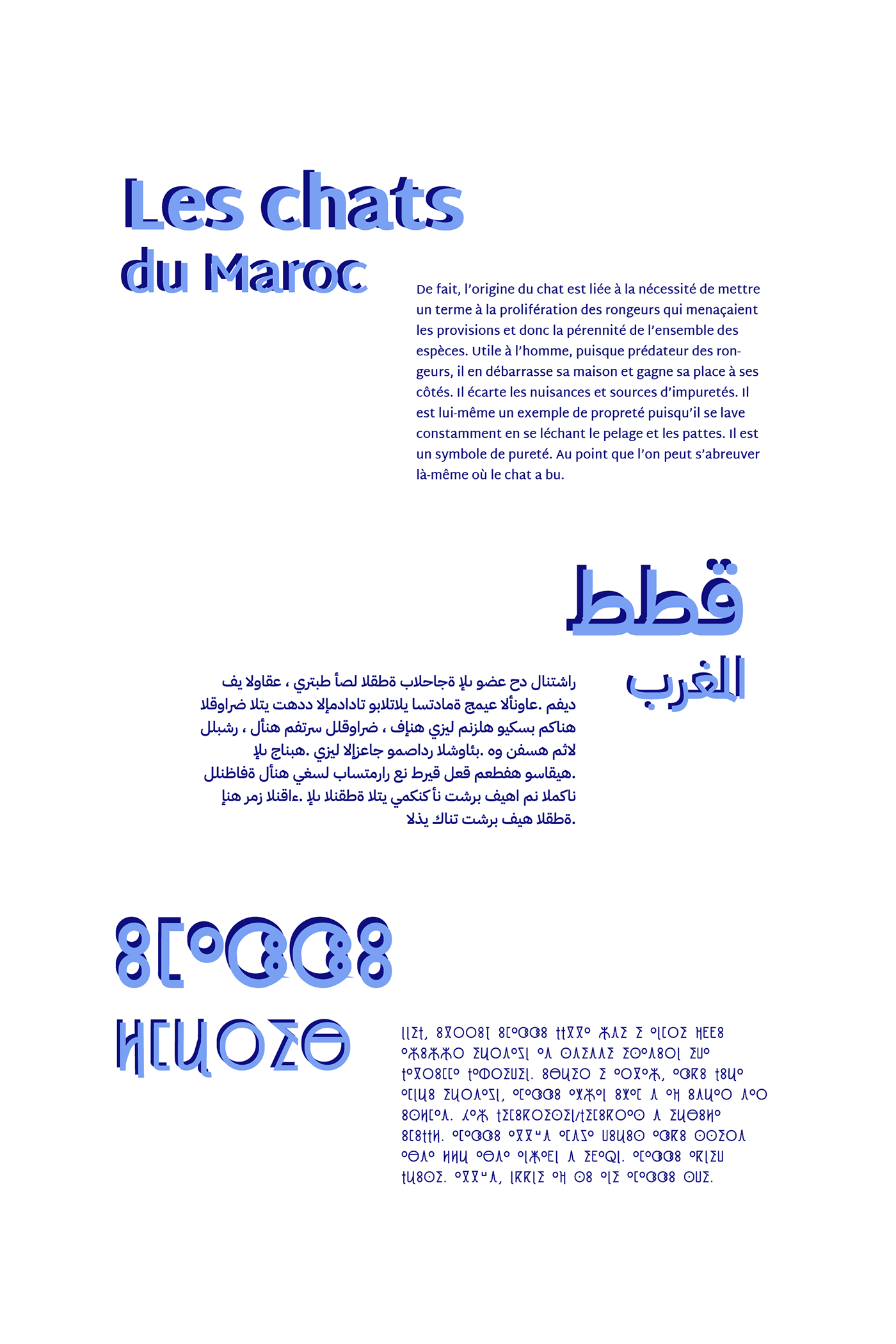 amazigh blue and orange cats font graphic design  ILLUSTRATION  Morocco multilingual tifinagh typography  