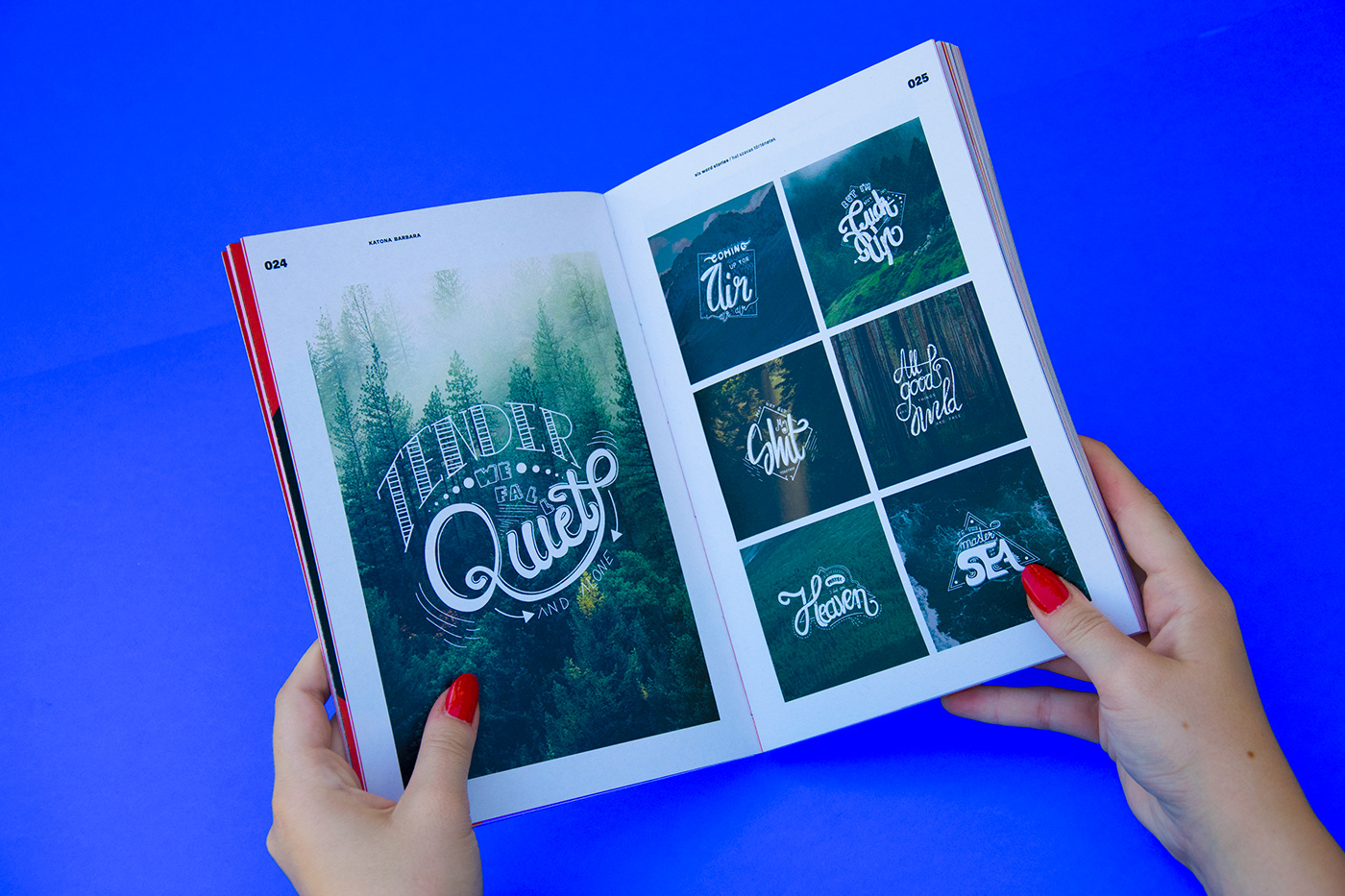 portfolio graphic design Advertising  book Project branding  content ILLUSTRATION  vivid