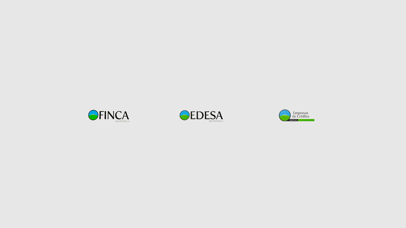 Costa Rica finance branding  brand identity adobe illustrator Logotype visual identity rebranding Logo Design identity